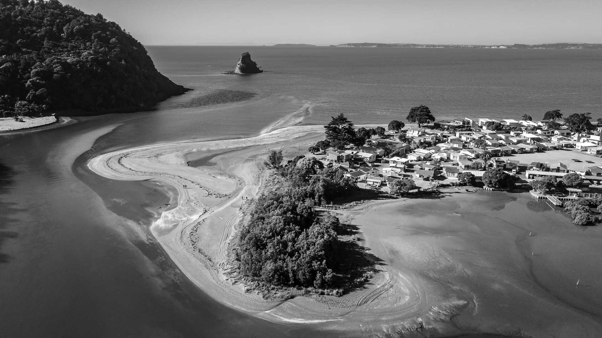 Auckland Coastal for environmental law and resource management